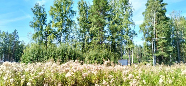 Участок № 107К в поселке Коммерческая земля, площадь 11.92 соток