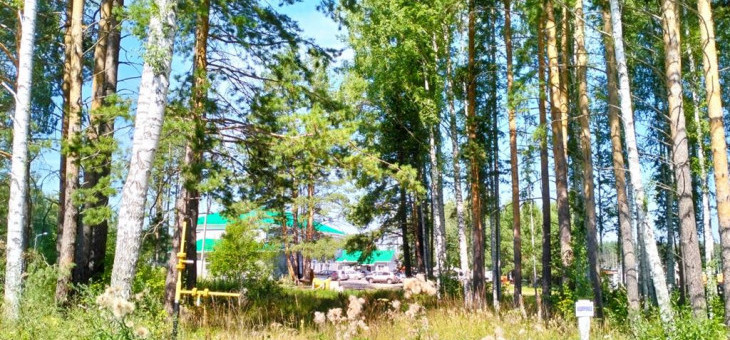 Участок № 110К в поселке Коммерческая земля, площадь 10.69 соток