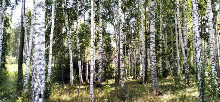 Участок № 112К в поселке Коммерческая земля, площадь 7.05 соток