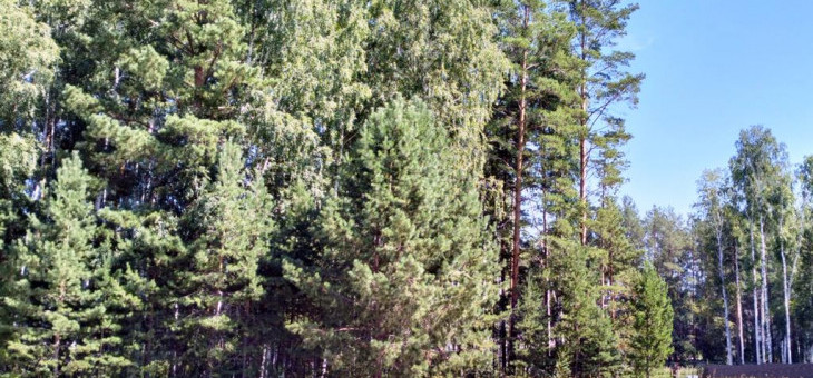 Участок № 114К в поселке Коммерческая земля, площадь 6.98 соток