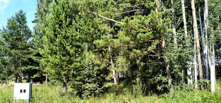 Участок № 115К в поселке Коммерческая земля, площадь 7.31 соток