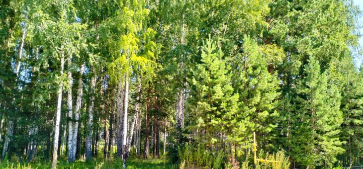 Участок № 113К в поселке Коммерческая земля, площадь 7.42 соток