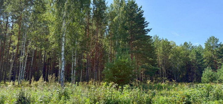 Участок № 53 в поселке Гранат, площадь 18.60 соток