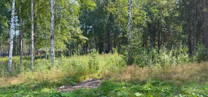 Участок № 65 в поселке Гранат, площадь 13.23 соток