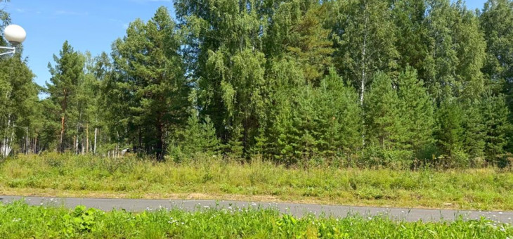 Участок № 68 в поселке Гранат, площадь 13.59 соток