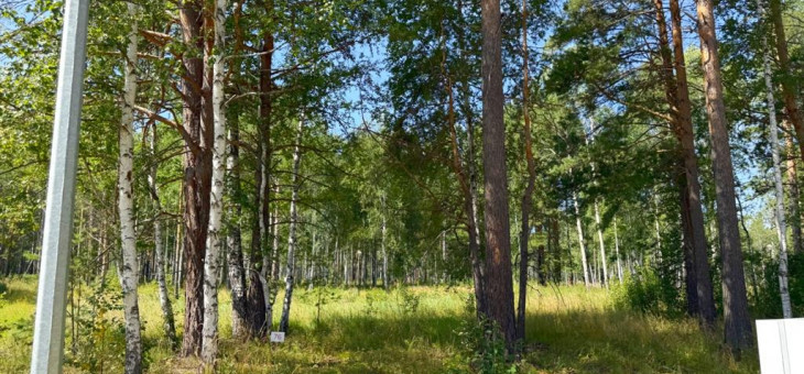 Участок № 76 в поселке Гранат, площадь 9.65 соток