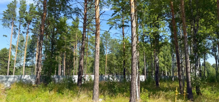 Участок № 103 в поселке Гранат, площадь 12.62 соток