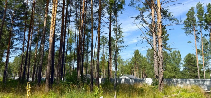 Участок № 104 в поселке Гранат, площадь 12.85 соток