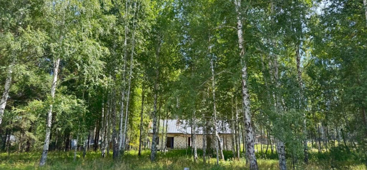 Участок № 113 в поселке Гранат, площадь 9.84 соток