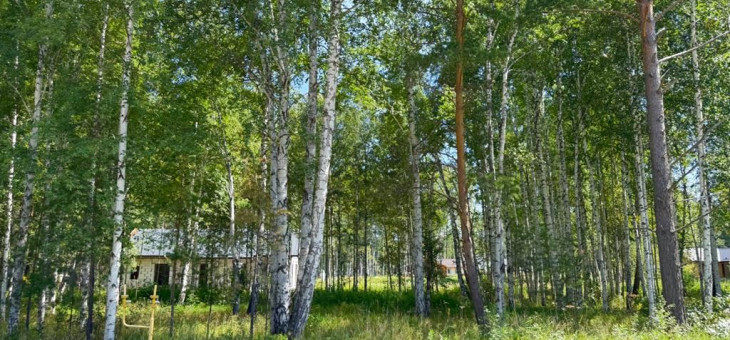 Участок № 114 в поселке Гранат, площадь 9.84 соток