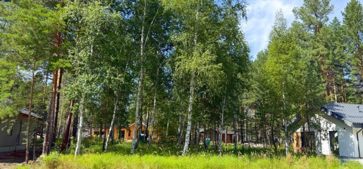Участок № 124 в поселке Гранат, площадь 9.84 соток