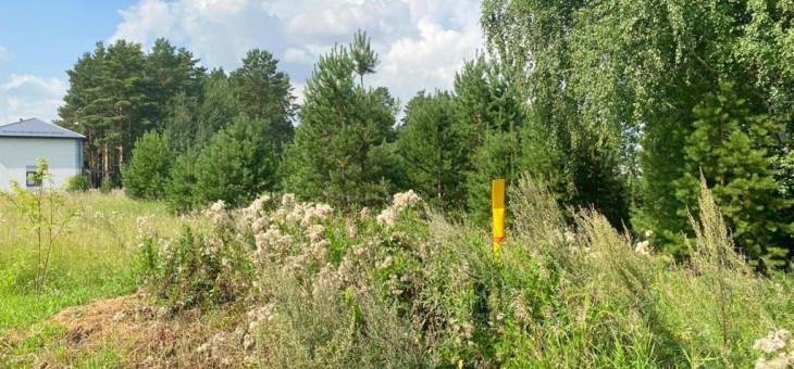 Участок № 227 в поселке Радость, площадь 13.01 соток