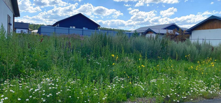 Участок № 205 в поселке Радость, площадь 6.67 соток