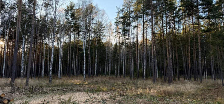 Участок № 10 в поселке Колибри, площадь 25.60 соток