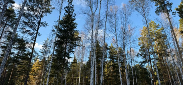 Участок № 16 в поселке Колибри, площадь 18.00 соток