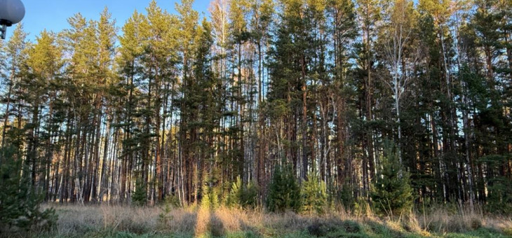 Участок № 19 в поселке Колибри, площадь 14.05 соток