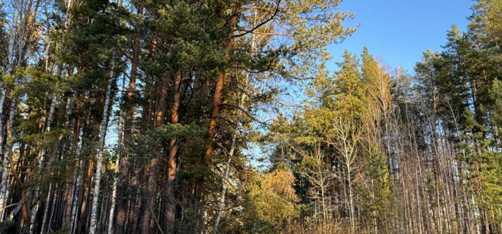 Участок № 21 в поселке Колибри, площадь 14.05 соток