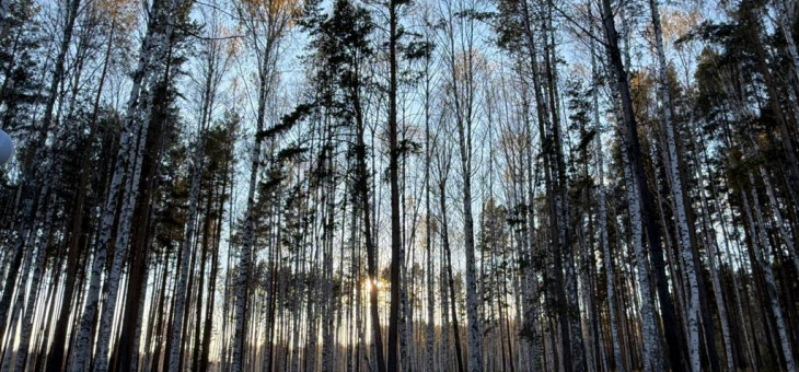 Участок № 30 в поселке Колибри, площадь 14.05 соток