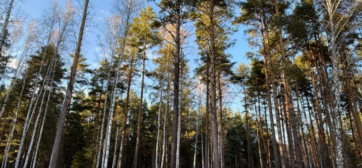 Земельный участок № 37 в Колибри, цена 1 046 250 руб/сотка