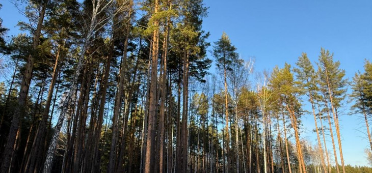 Участок № 37 в поселке Колибри, площадь 40.00 соток