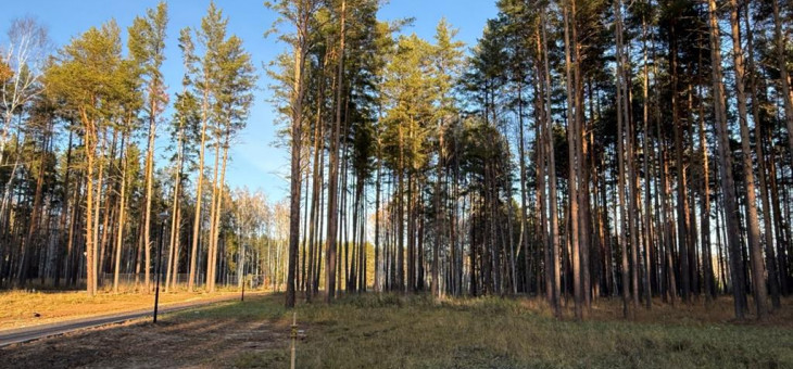 Участок № 38 в поселке Колибри, площадь 15.00 соток
