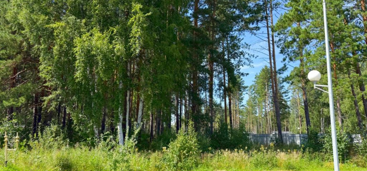 Участок № 129 в поселке Гранат, площадь 10.87 соток