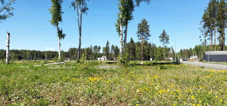 Участок № 45 в поселке Аист, площадь 9.85 соток
