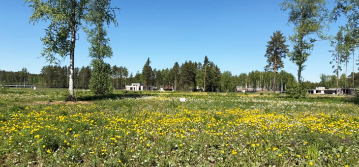 Участок № 46 в поселке Аист, площадь 8.06 соток