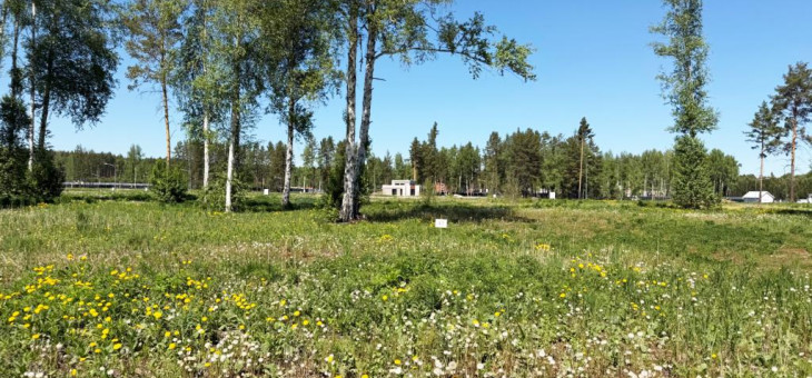 Участок № 47 в поселке Аист, площадь 9.57 соток