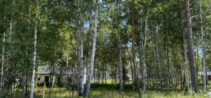 Участок № 114 в поселке Гранат, площадь 9.84 соток