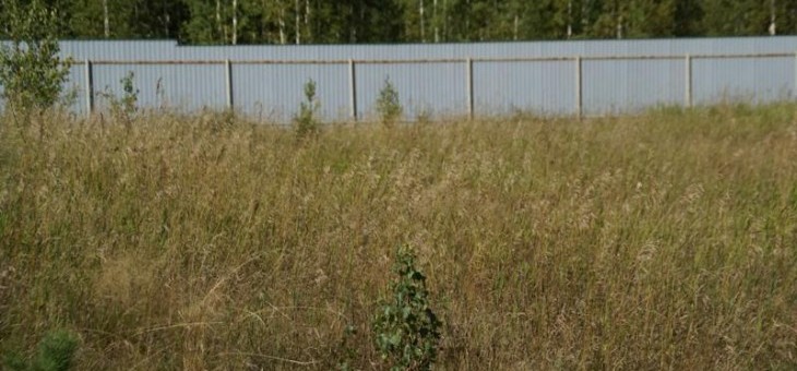 Участок № 40 — 24.45 соток в Лукоморье, продажа