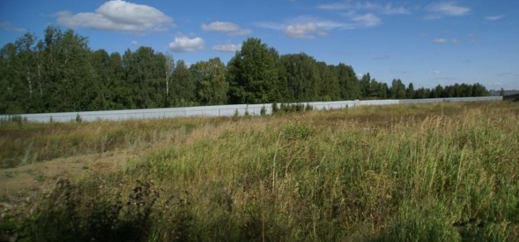 Продажа участка № 31 — Лукоморье, площадь 13.10 соток