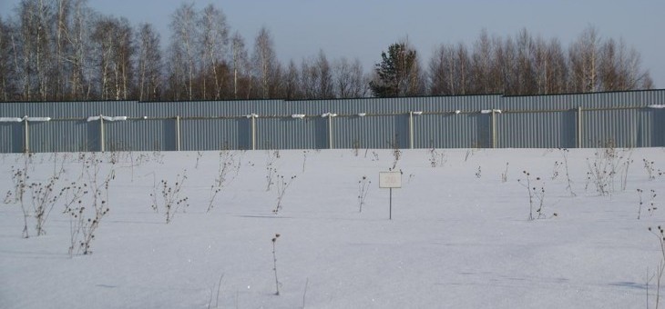 Участок № 26 в поселке Лукоморье, площадь 11.15 соток