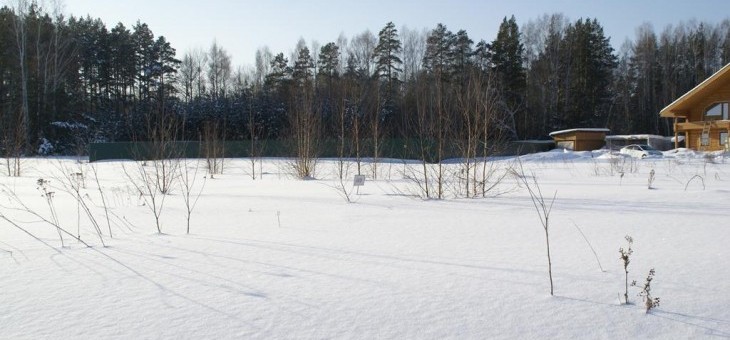 Продажа участка № 49 — Лукоморье, площадь 11.68 соток