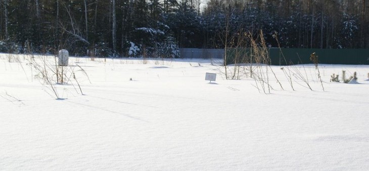 Земельный участок № 50 в Лукоморье — 11.57 соток