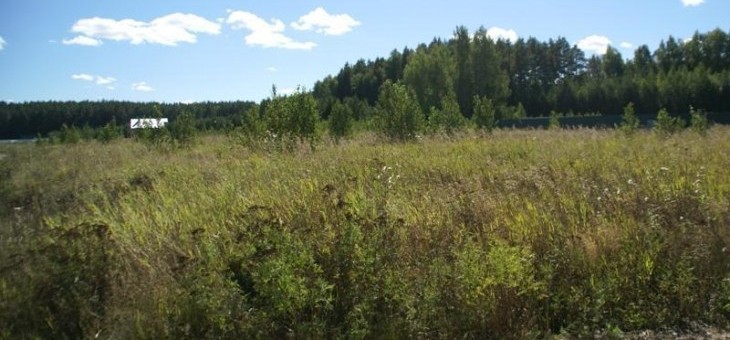 Участок № 49 в поселке Лукоморье, площадь 11.68 соток