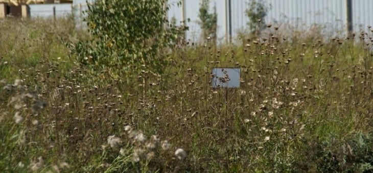 Земельный участок № 28 в Лукоморье, цена 147 000 руб/сотка