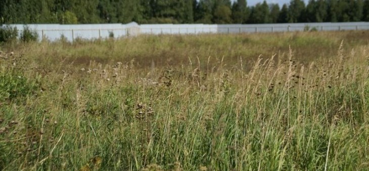 Земельный участок № 31 в Лукоморье, цена 210 000 руб/сотка