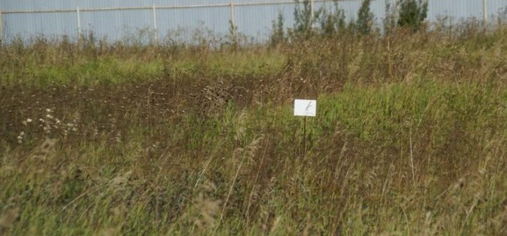 Земельный участок № 32 в Лукоморье, цена 210 000 руб/сотка