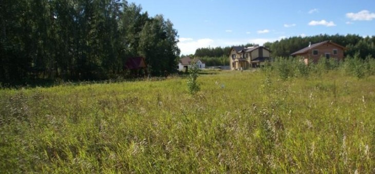 Участок № 38 в поселке Лукоморье, площадь 16.58 соток