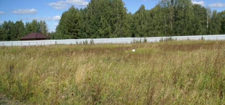 Участок № 32 в поселке Лукоморье, площадь 12.98 соток