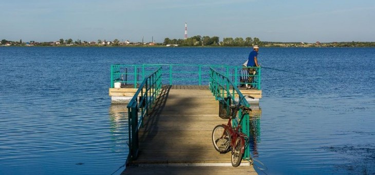 Участок № 49 в поселке Лукоморье, площадь 11.68 соток