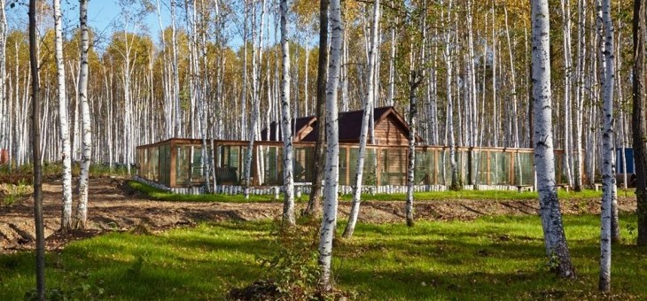 Участок № 39 — 0.00 соток в Ежевика, продажа